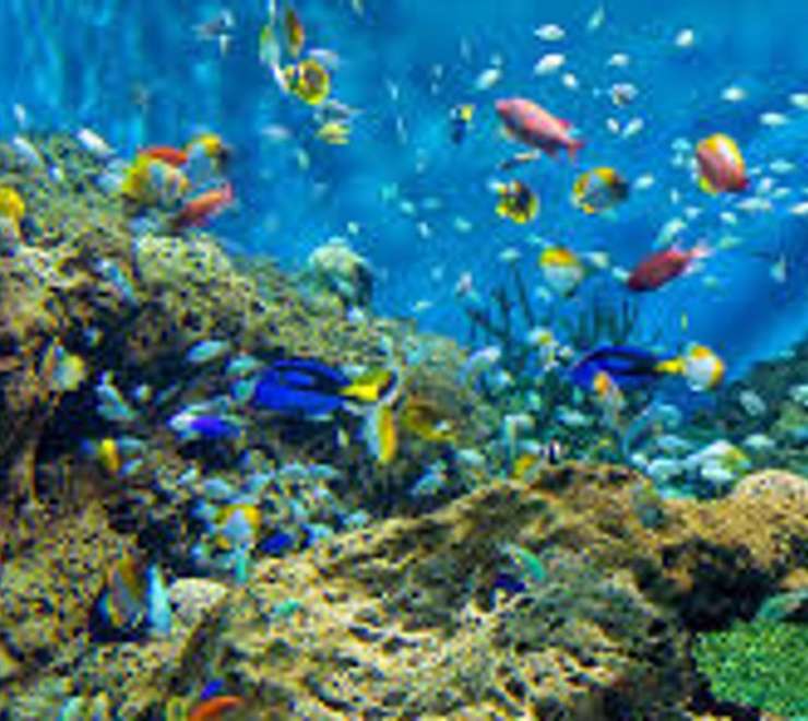 Aqua World Ibaraki Oarai Aquarium