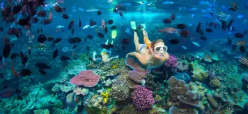 Image related to Snorkelling 