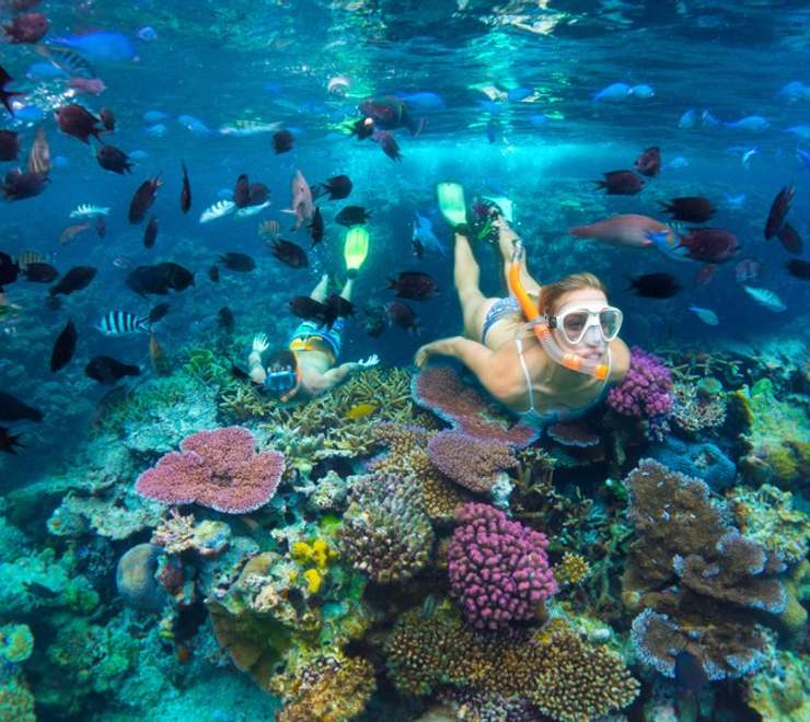 Snorkelling 