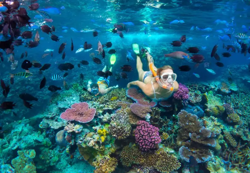 Snorkelling 