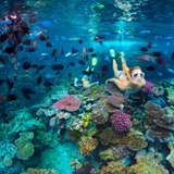 Image related to Snorkelling 