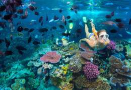 IgluCruise.Application.ViewModels.Shared.WebImageViewModel?.Description