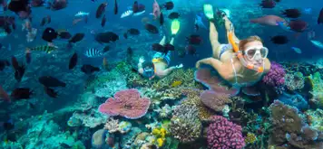 Image related to Snorkelling 