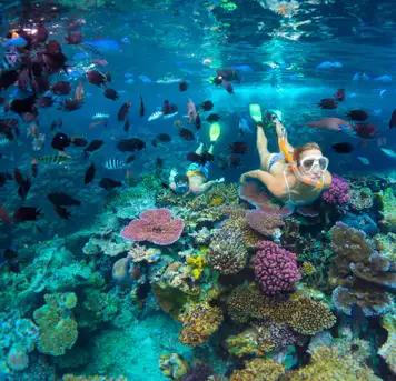 Snorkelling 