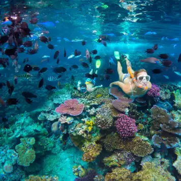 Image related to Snorkelling 