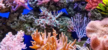 Image related to Marine Laboratory