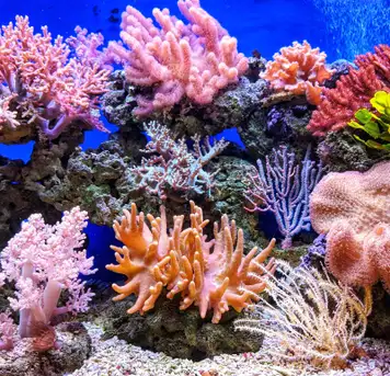 Image related to Marine Laboratory