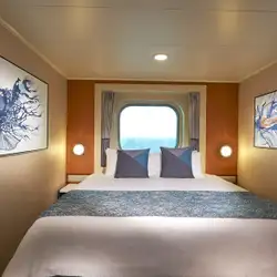 Image related to Solo Oceanview