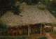 Cultural Village