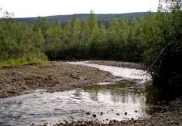 IgluCruise.Application.ViewModels.Shared.WebImageViewModel?.Description