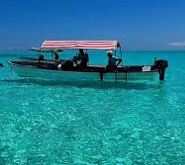 Snorkel Narimo Island