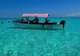 Snorkel Narimo Island
