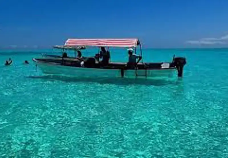 Snorkel Narimo Island