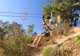 Ziplining 