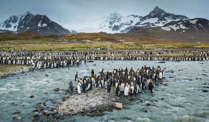 South Georgia Island