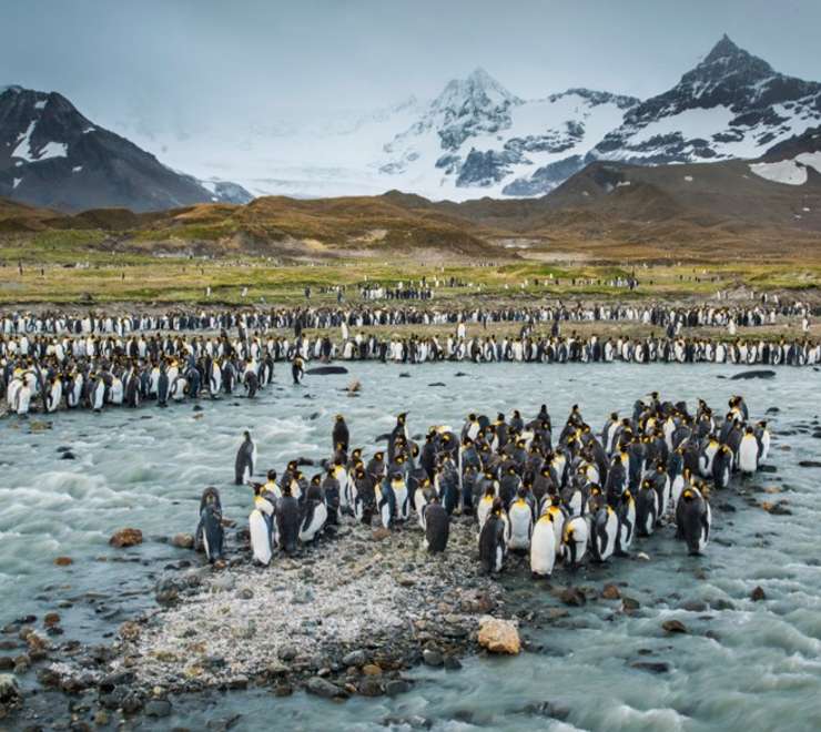 South Georgia Island