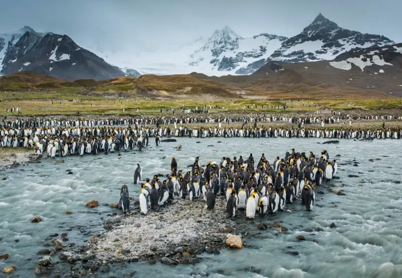 South Georgia Island