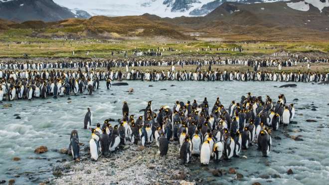South Georgia Island