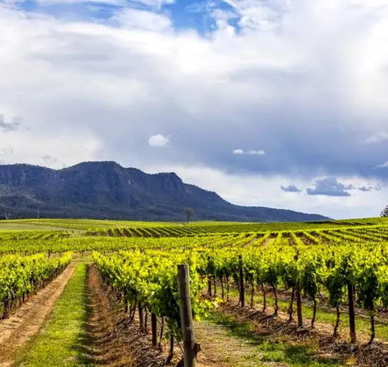 Image related to Hunter Valley - Food & Wine Tour
