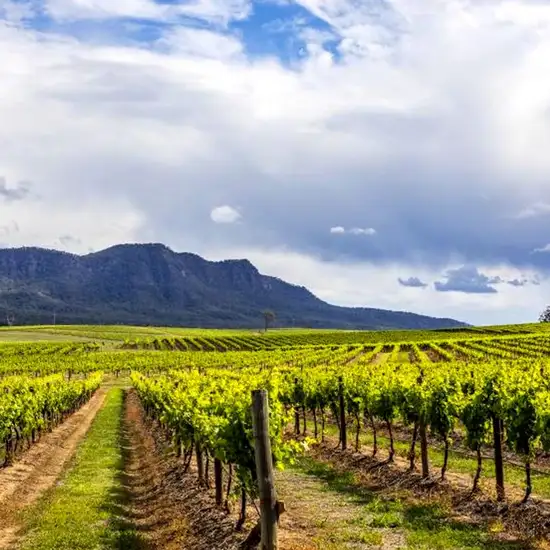 Image related to Hunter Valley - Food & Wine Tour