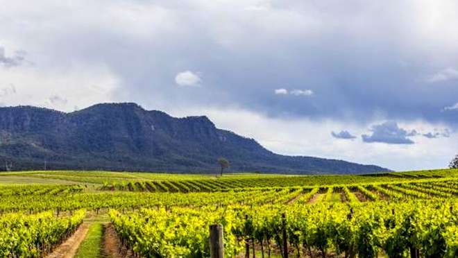 Indulge in the Delights of Hunter Valley