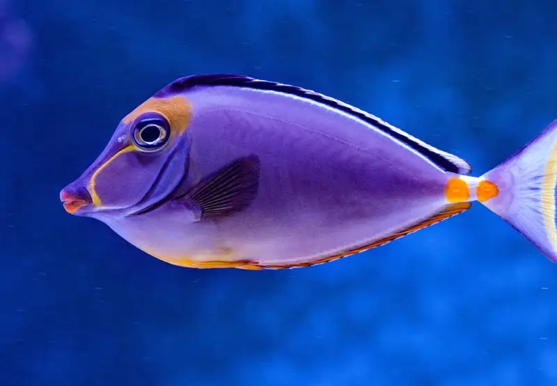 La Rochelle Aquarium