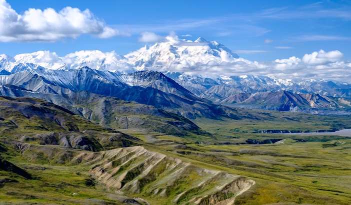 Denali - Morning at Leisure