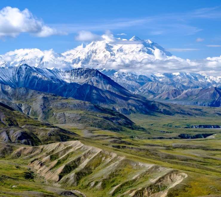 Denali - Morning at Leisure