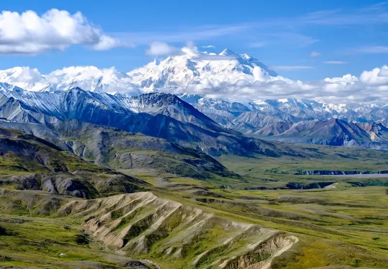 Denali - Morning at Leisure