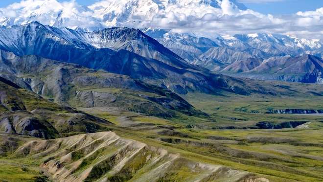 Denali - Morning at Leisure