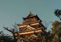 IgluCruise.Application.ViewModels.Shared.WebImageViewModel?.Description