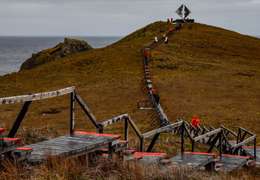 IgluCruise.Application.ViewModels.Shared.WebImageViewModel?.Description