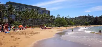 Image related to Kalapaki Beach