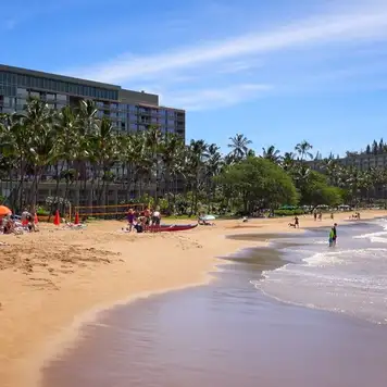 Image related to Kalapaki Beach