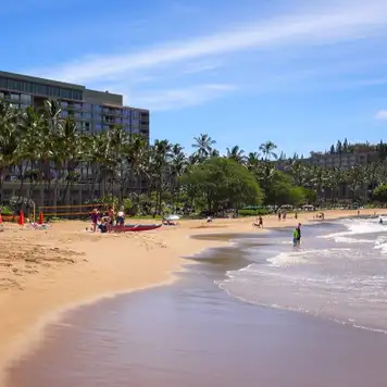 Image related to Kalapaki Beach