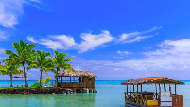 Apia