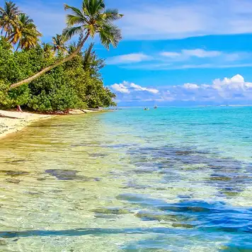 Image related to Moorea