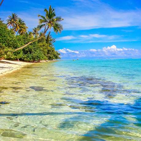 Photo overview of Moorea