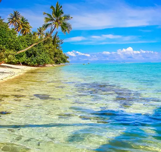 Image related to Moorea