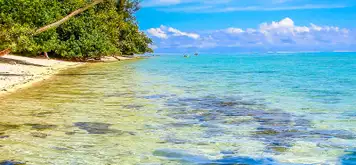 Image related to Moorea