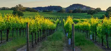 Image related to Napa and Sonoma Valleys