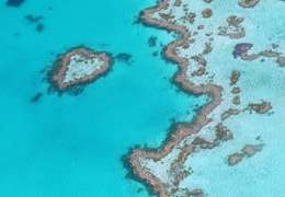 IgluCruise.Application.ViewModels.Shared.WebImageViewModel?.Description