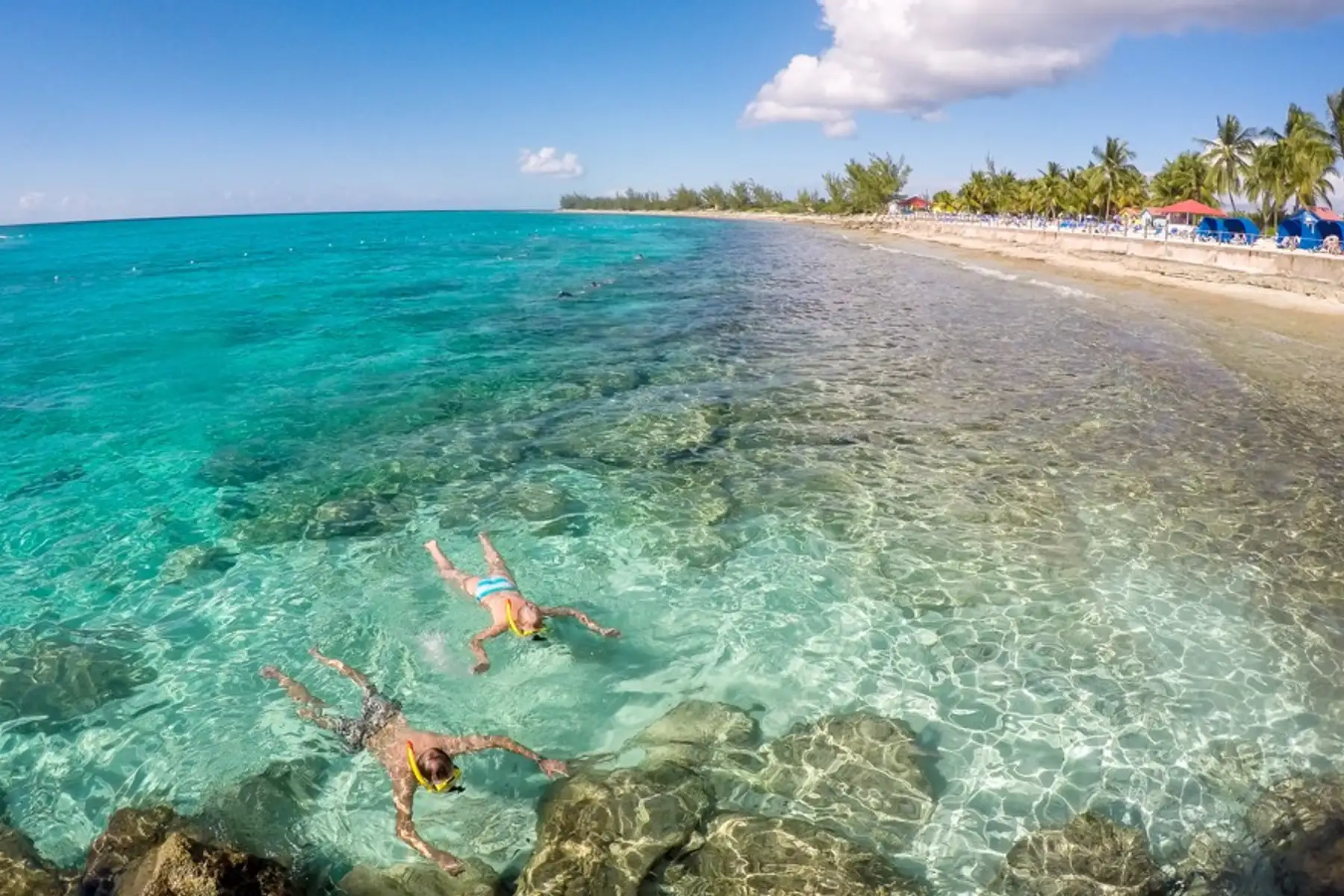 Image related to Bahamas Cruise Deals