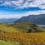 Image related to Walking and Hiking