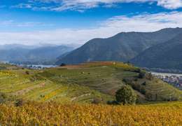 IgluCruise.Application.ViewModels.Shared.WebImageViewModel?.Description