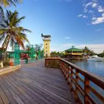 Image related to La Guancha Boardwalk
