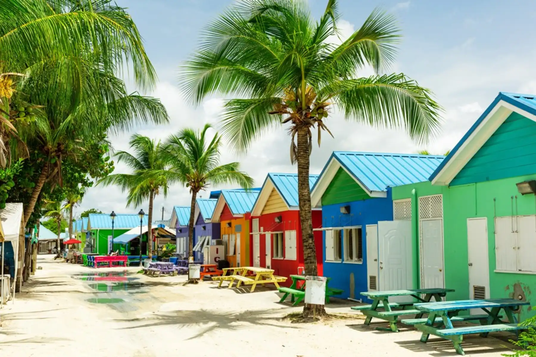 Image related to Cruises from Bridgetown, Barbados