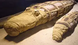 Image related to The Crocodile Museum