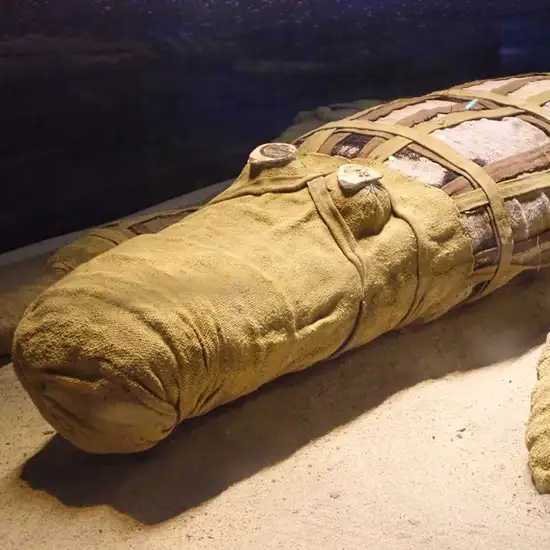 The Crocodile Museum