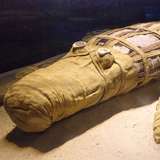 Image related to The Crocodile Museum